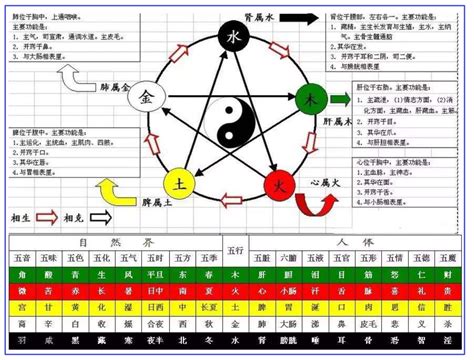 壬屬性|第17課十天干顏色、陰陽、五行方位、屬性、轉換關係等（珍藏。